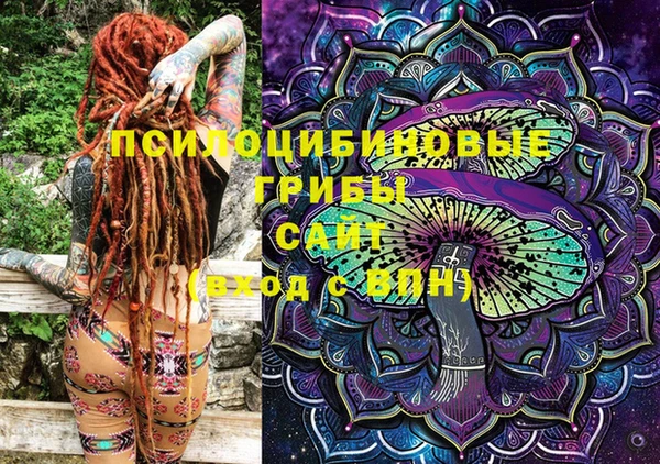 эйфоретик Гусиноозёрск