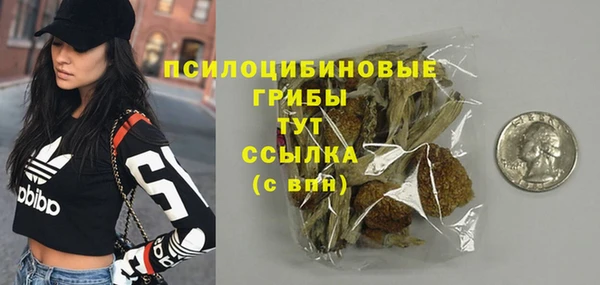 эйфоретик Гусиноозёрск