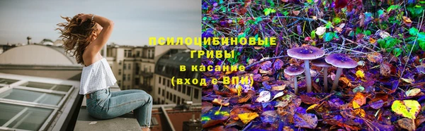 эйфоретик Гусиноозёрск
