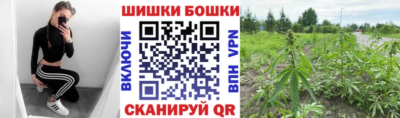 Каннабис ГИДРОПОН Белоусово